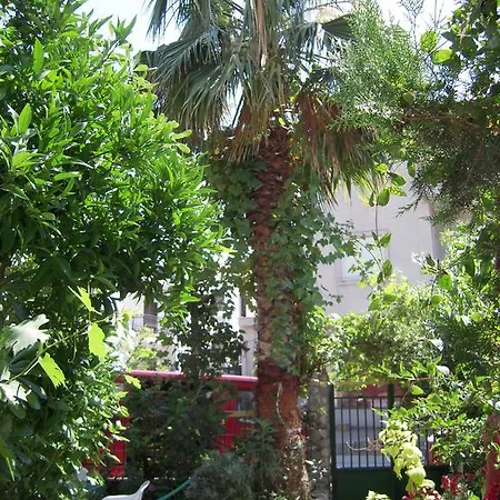 Pelekanos * Limenaria (Thasos)
